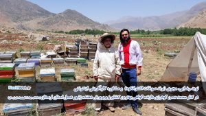 کشاورز نمونه و پرورش دهنده زنبور عسل منتخب استان لرستان